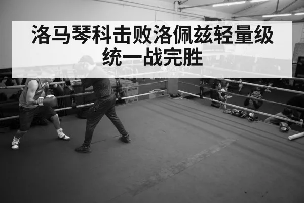 boxer training gym